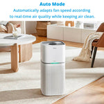 Air Purifier - Asters Maldives