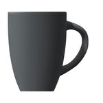 Mug (320ml) - Asters Maldives