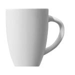 Mug (320ml) - Asters Maldives