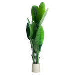 Artificial Plant - Asters Maldives