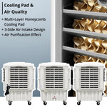 Air Cooler (50L) - Asters Maldives