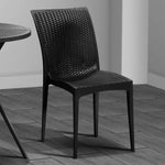 Dining Chair - Asters Maldives