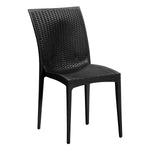 Dining Chair - Asters Maldives