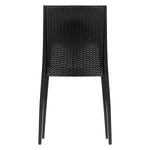 Dining Chair - Asters Maldives