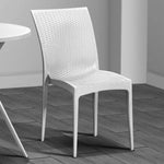 Dining Chair - Asters Maldives