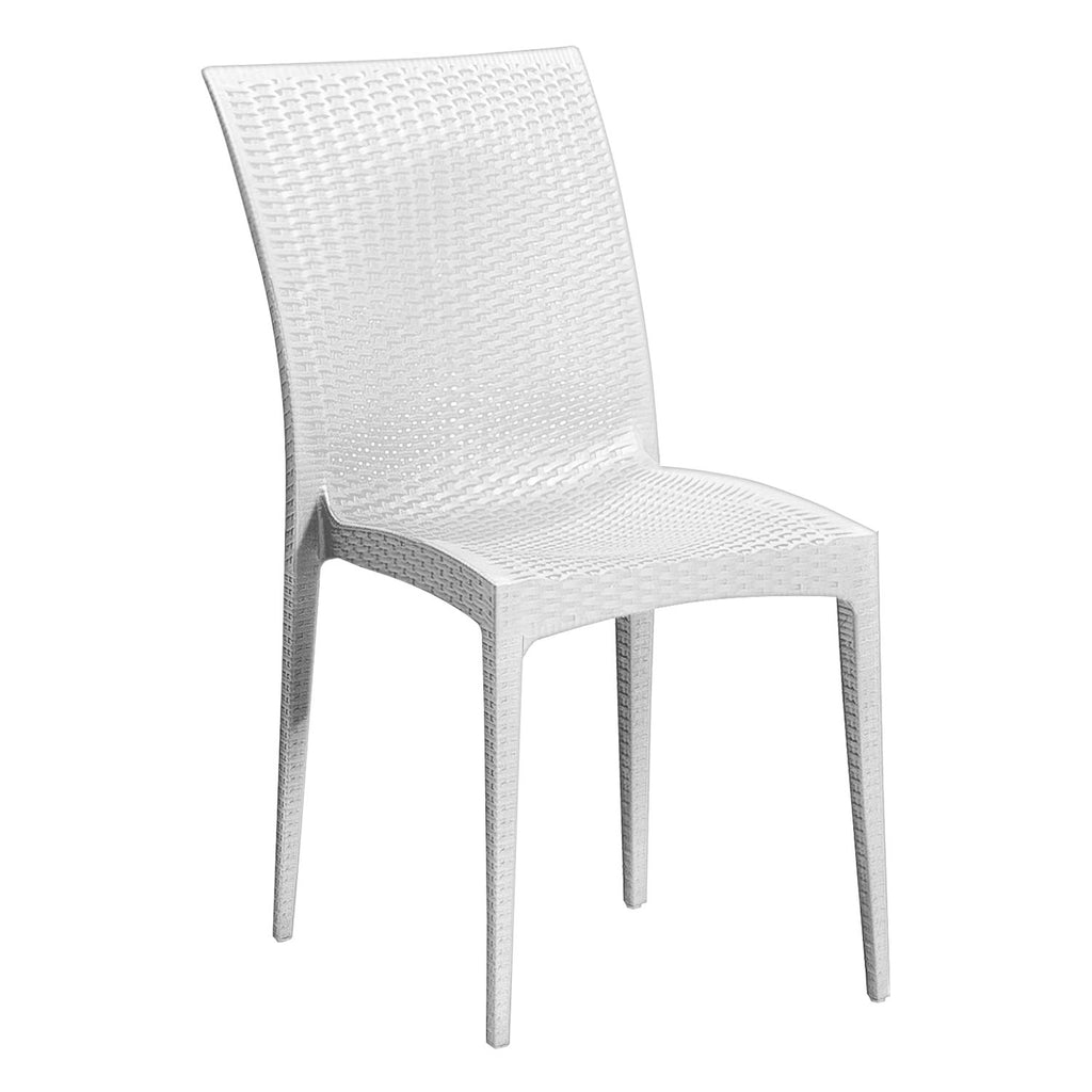 Dining Chair - Asters Maldives