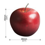 Artificial Fruit - Asters Maldives