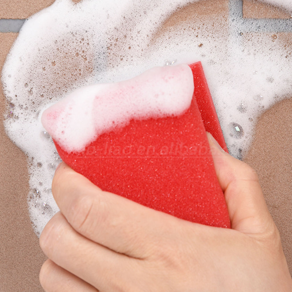 Scourer (3 PCs) - Asters Maldives