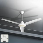 Ceiling Fan (Ø56") - Asters Maldives