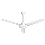 Ceiling Fan (Ø56") - Asters Maldives