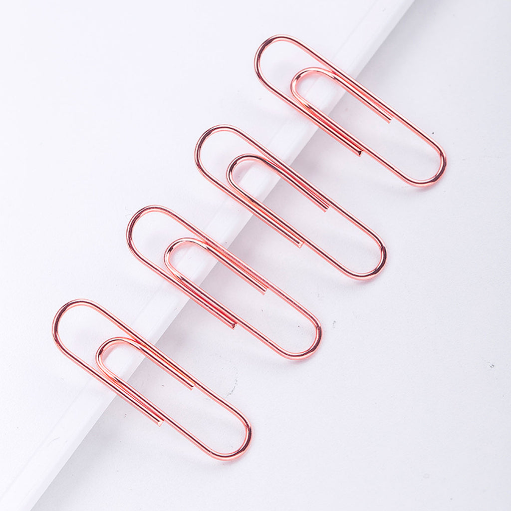 160-pcs Paper Clip (29mm) - Asters Maldives