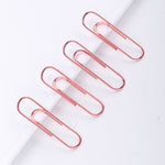 160-pcs Paper Clip (29mm) - Asters Maldives