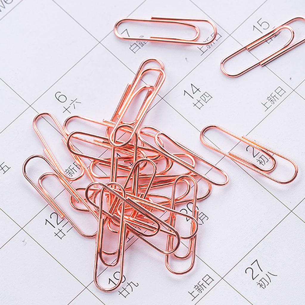 160-pcs Paper Clip (29mm) - Asters Maldives