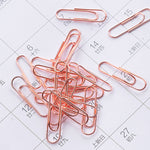160-pcs Paper Clip (29mm) - Asters Maldives
