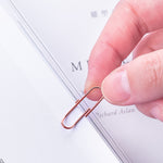 160-pcs Paper Clip (29mm) - Asters Maldives