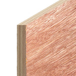 Plywood (4 x 8ft.)