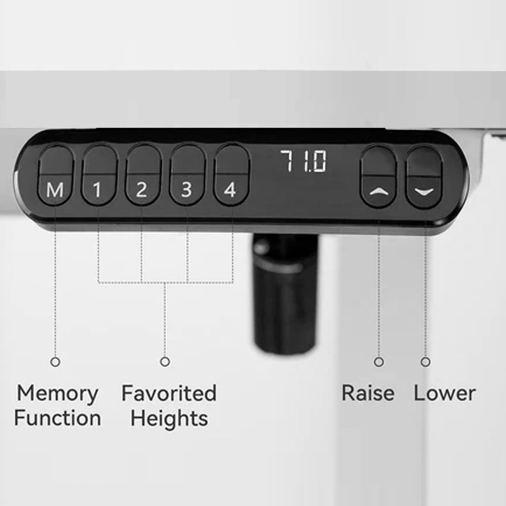 Electric Standing Desk