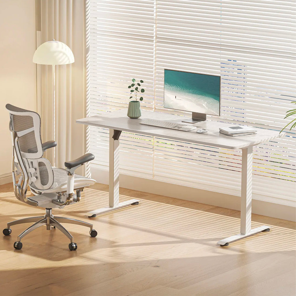 Electric Standing Desk