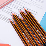 12-pcs Pencil (2B) - Asters Maldives