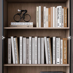 Cabinet With Door