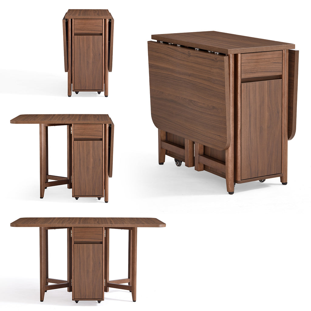 Dining Set (foldable)