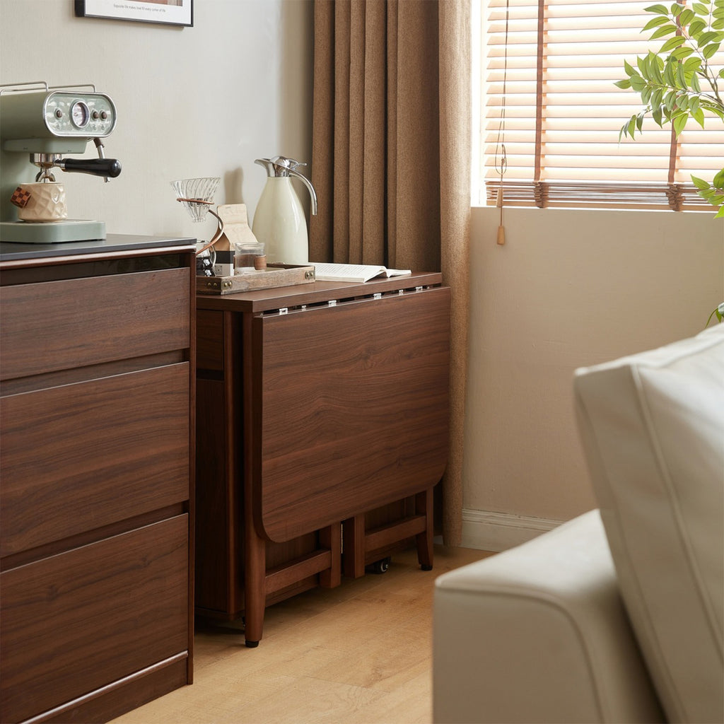 Dining Set (foldable)