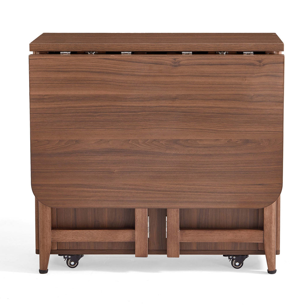 Dining Set (foldable)