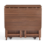 Dining Set (foldable)
