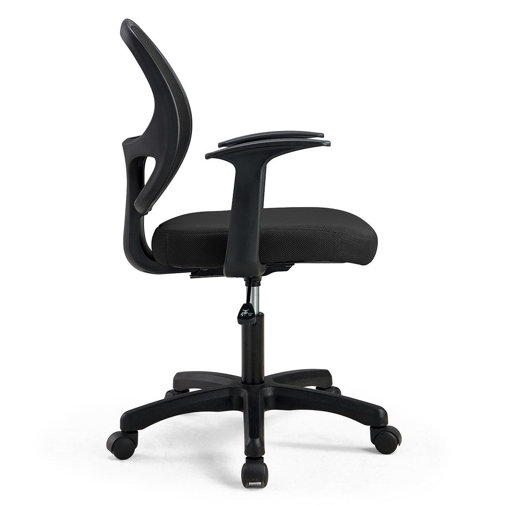Low Back Chair