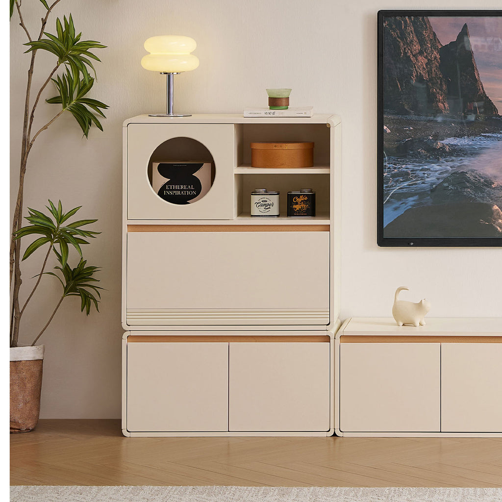 Cabinet With Door