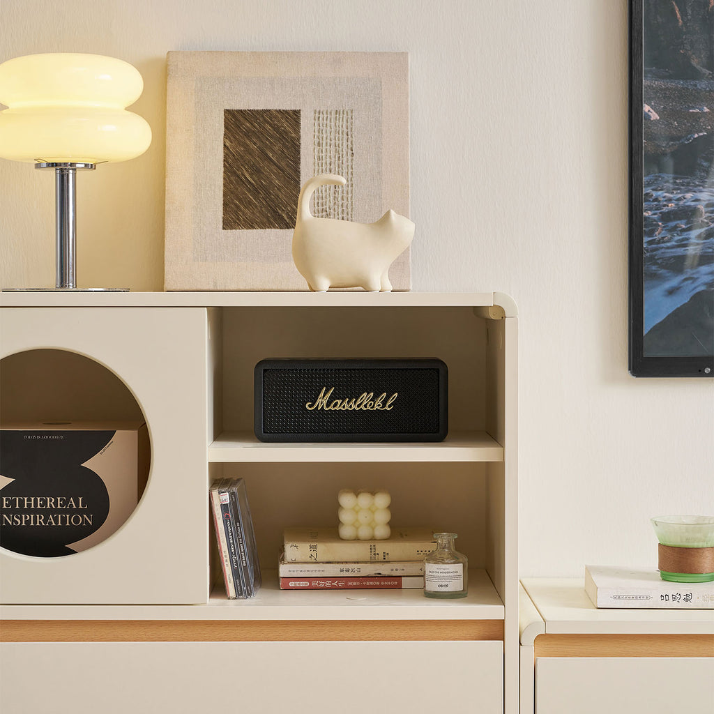 Cabinet With Door