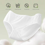 5-pcs Underwear (Disposable)