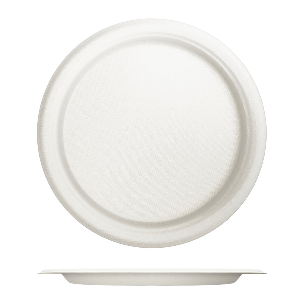 50-pcs Dinner Plate (Ø9")