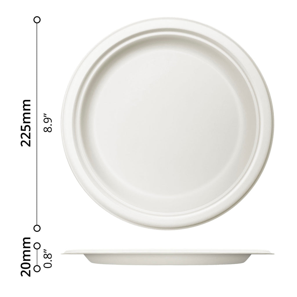 50-pcs Dinner Plate (Ø9")