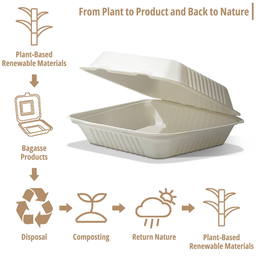 50-pcs Food Container (9" x 9")