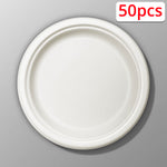 50-pcs Dinner Plate (Ø7")