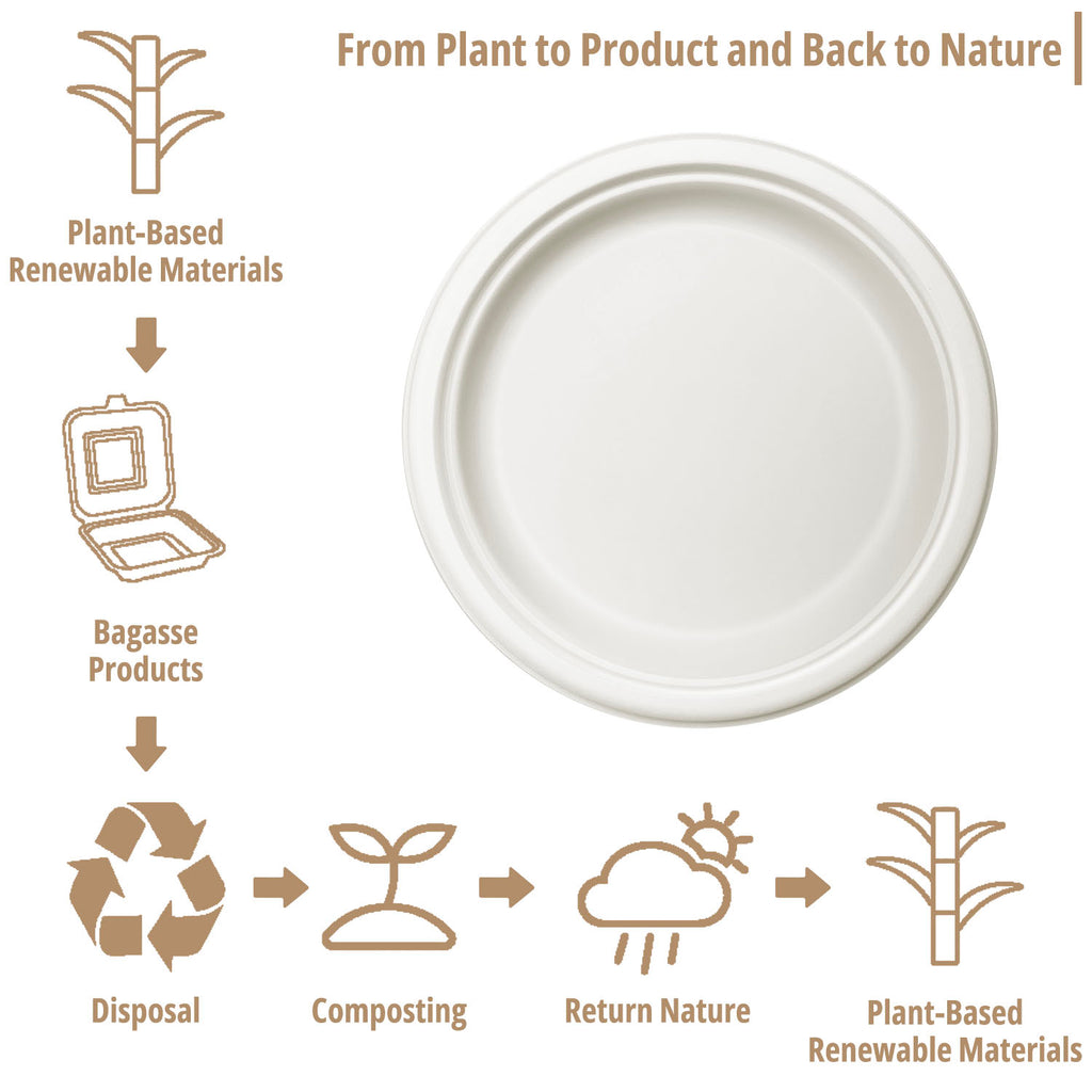 50-pcs Dinner Plate (Ø7")