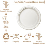 50-pcs Dinner Plate (Ø7")