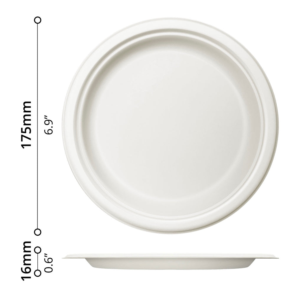 50-pcs Dinner Plate (Ø7")
