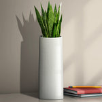 Vase (Ø9.6 x 28cm)