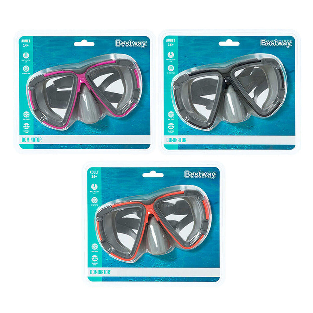 Snorkel Mask (14+)