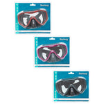 Snorkel Mask (14+)
