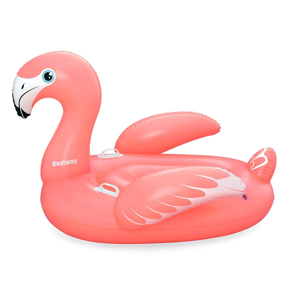 Swim Seat (3+)