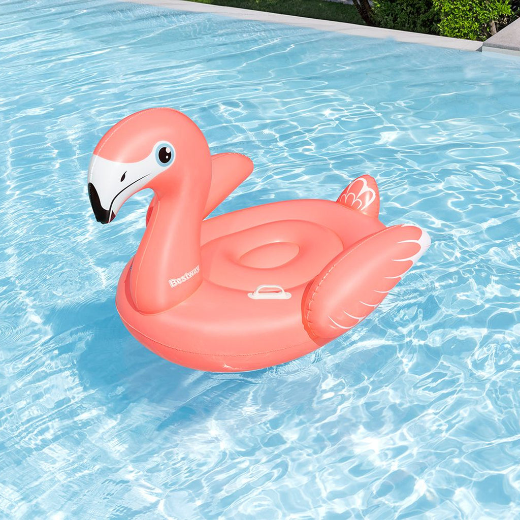 Swim Seat (3+)