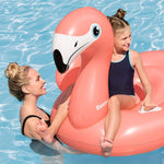 Swim Seat (3+)