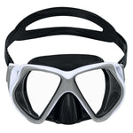 Snorkel Mask (14+)