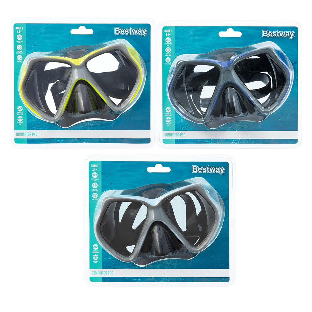 Snorkel Mask (14+)