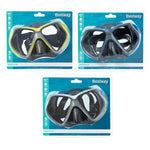 Snorkel Mask (14+)