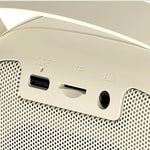 Speaker