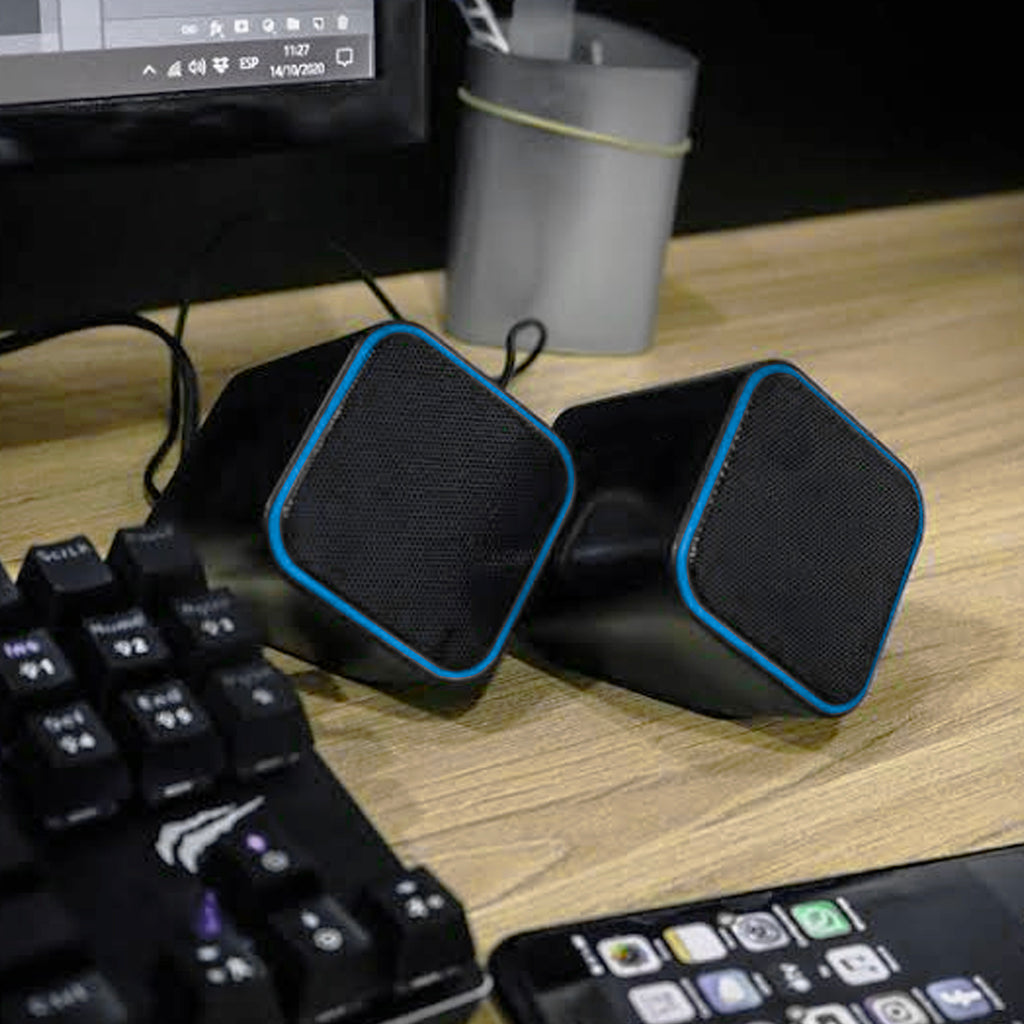 Speaker